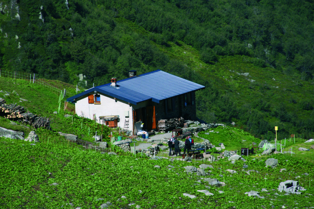 site