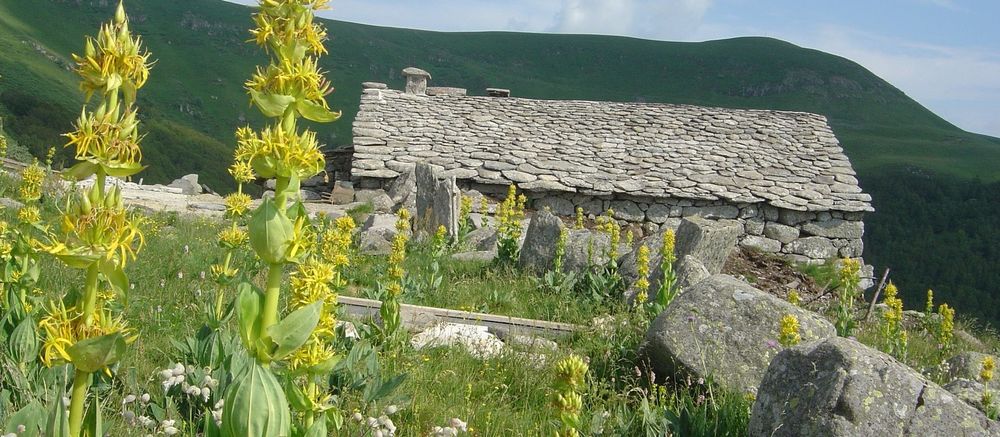 site