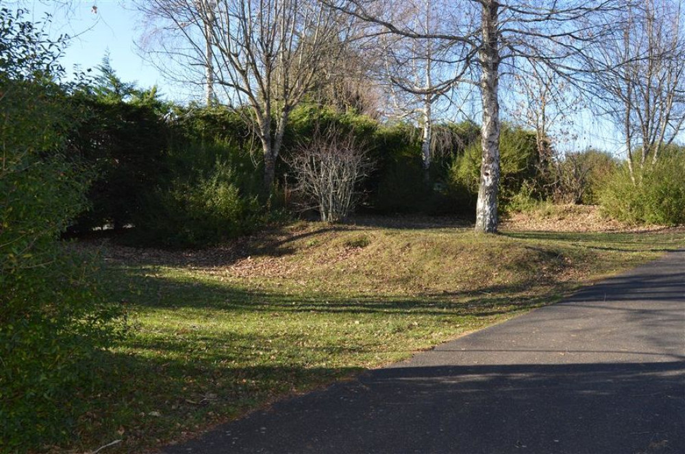 site
