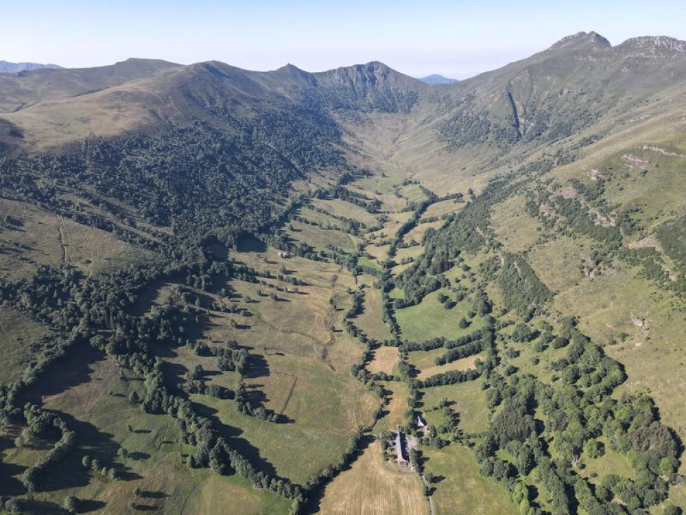 site