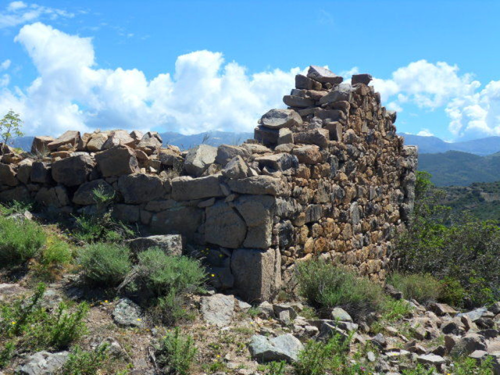 site