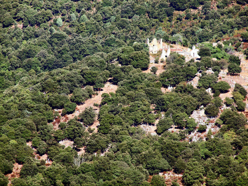 site