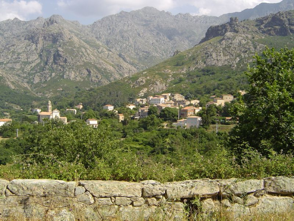 site