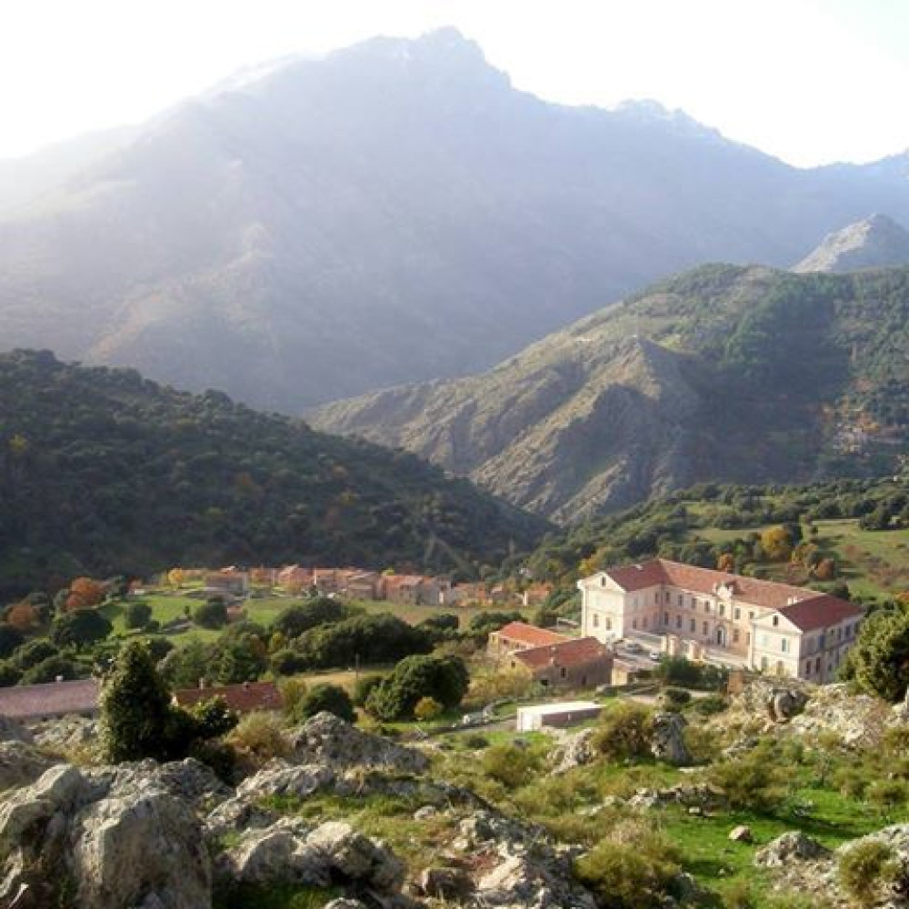 site