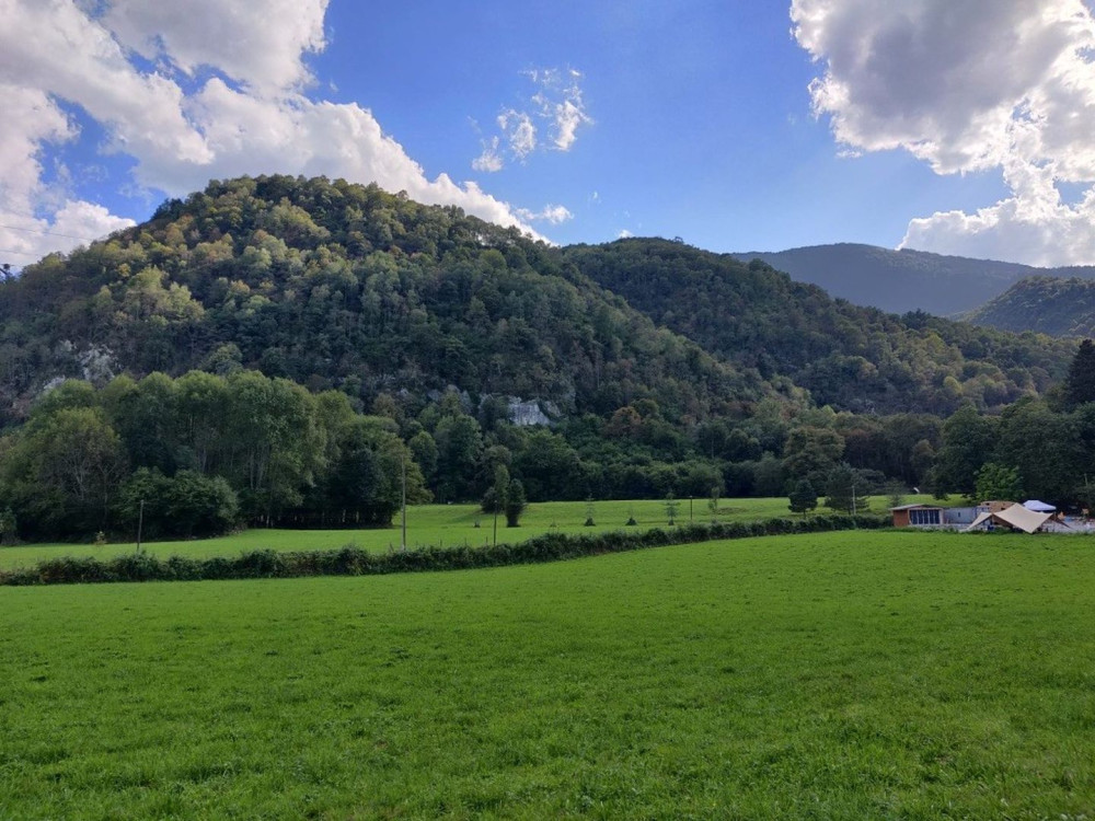 site