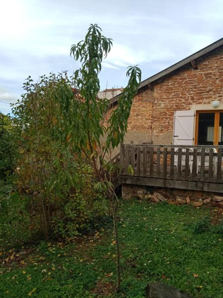 site
