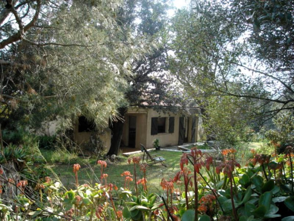 site