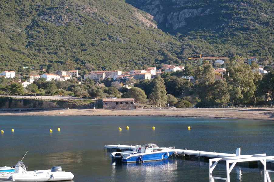 site