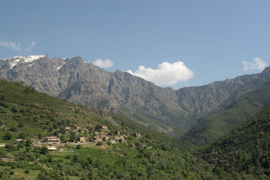 site
