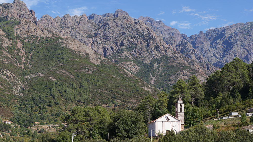 site