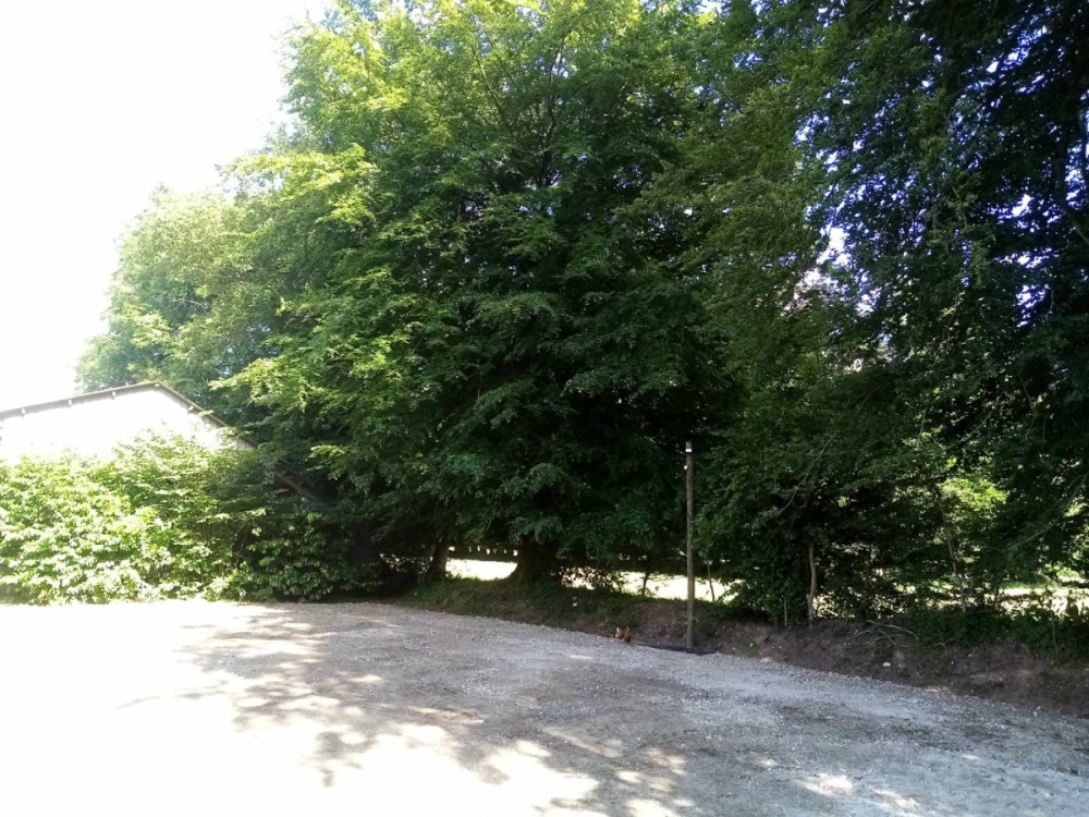 site