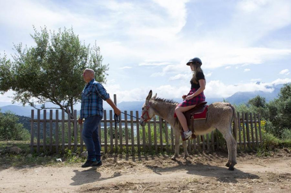 site