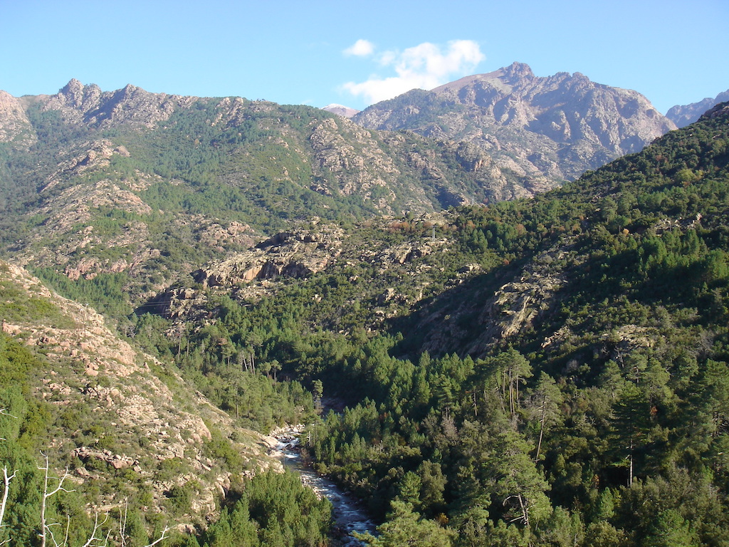 site
