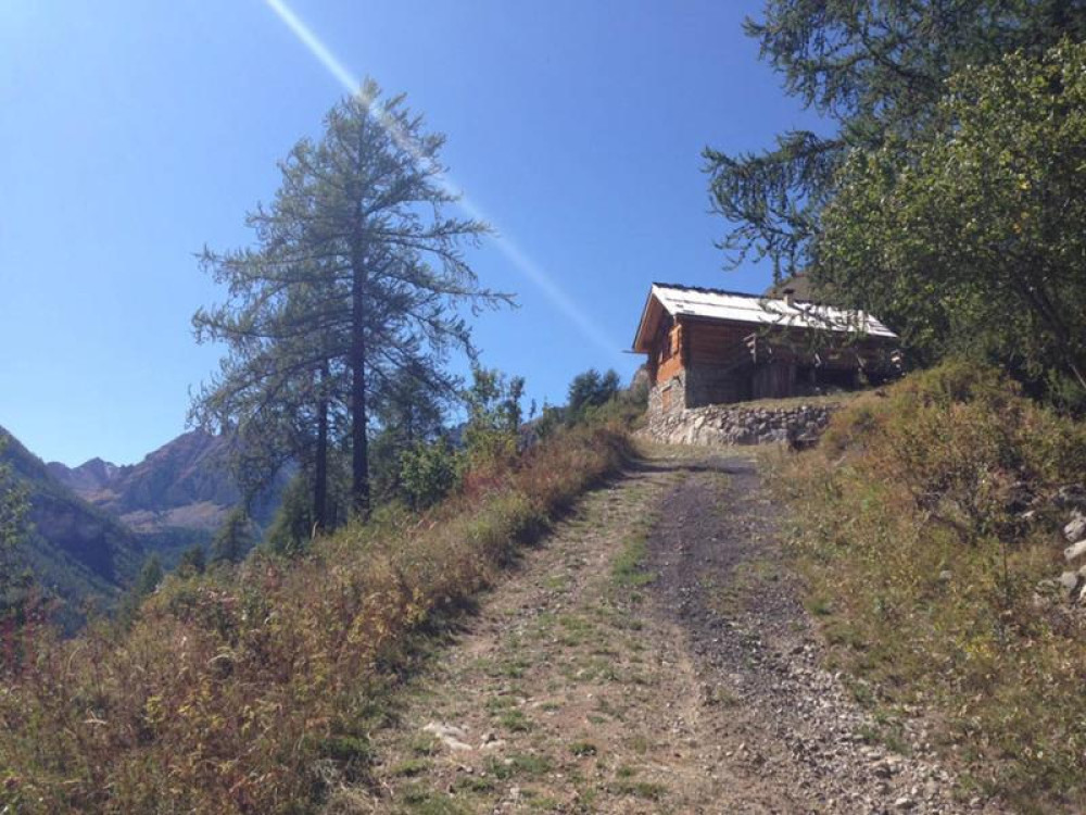 site