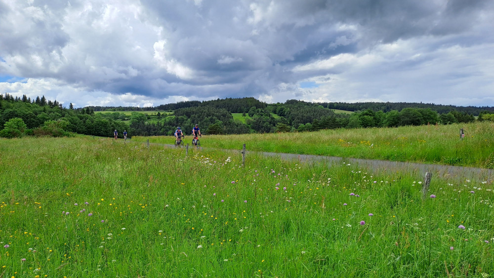 site