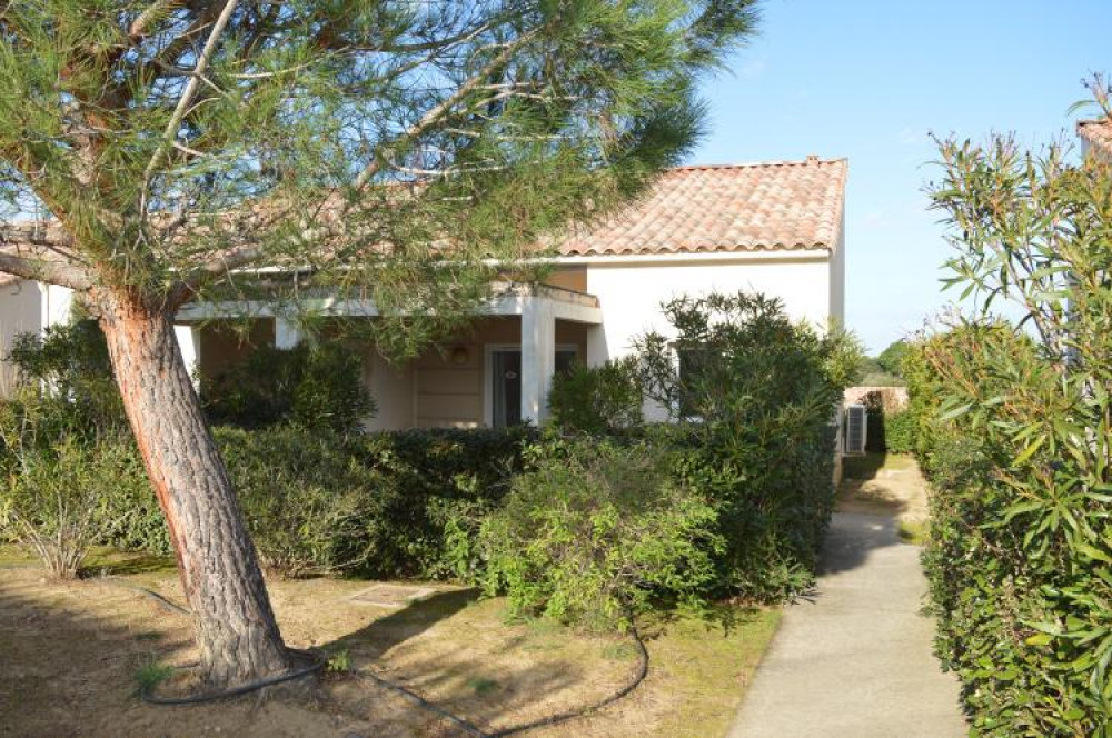 site