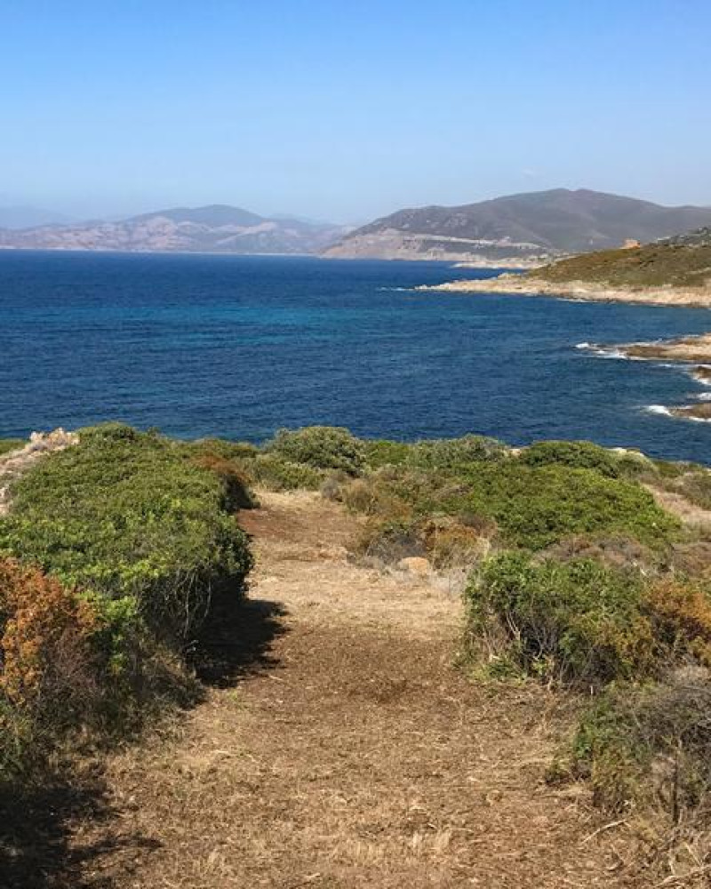 site