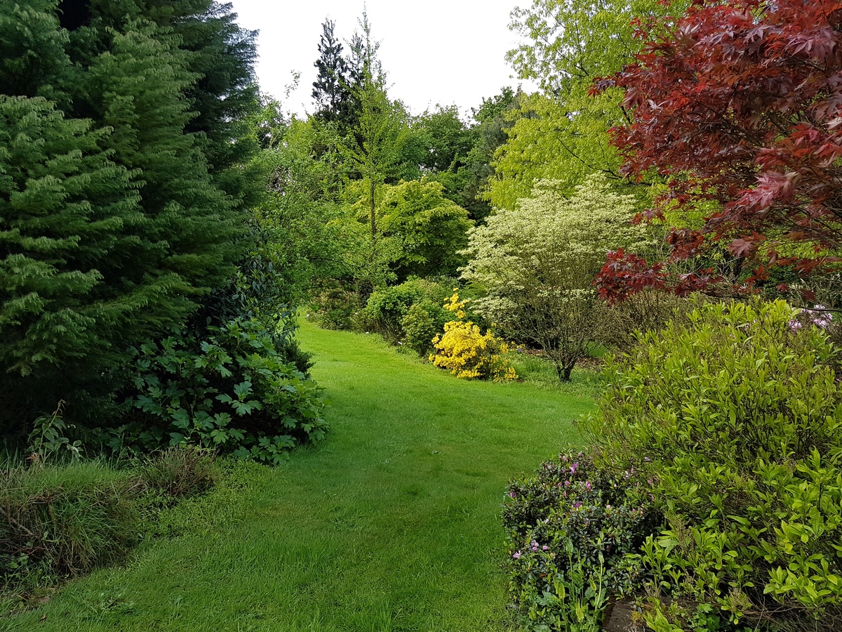 site