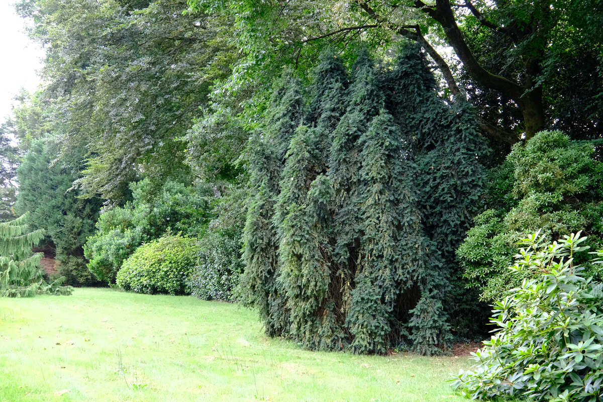 site