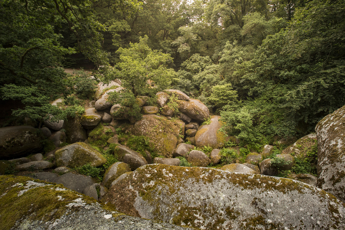 site