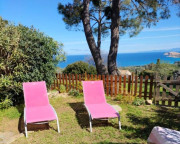 43175